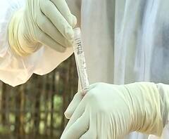 COVID-19 Rapid Testing | मुंबईत लवकरच रॅपिड टेस्टिंग होणार