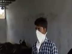 ઘાસચારાના ભાવ વધતા પશુપાલકોની સ્થિતિ બની કફોડી, જુઓ ખાસ અહેવાલ 