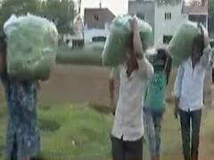 ગાંધીનગરઃ દહેગામના શાકભાજી પકડવા ખેડૂતોની કફોડી સ્થિતિ, જુઓ વીડિયો