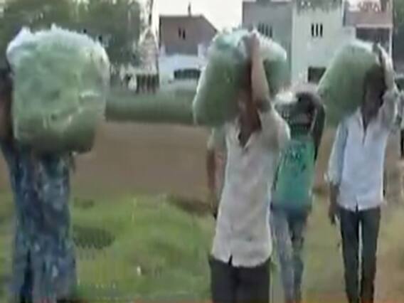 ગાંધીનગરઃ દહેગામના શાકભાજી પકડવા ખેડૂતોની કફોડી સ્થિતિ, જુઓ વીડિયો