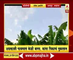 Rural News | अकोल्यात अवकाळी पावसाने केळी बागा, कांद्याच्या पिकाचं नुकसान | माझं गाव माझा जिल्हा