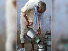 ગુજરાત લોકડાઉનઃ સભાસદ ન હોય તેવા પશુપાલકો પણ ડેરીમાં દૂધ ભરી શકશે, જુઓ વીડિયો