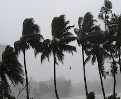 ঘূর্ণিঝড় উমপুন: বজবজে বিদ্যুৎস্পৃষ্ট হয়ে মৃত ৪, চাকদায় গাছ চাপা পড়ে মৃত দুই 