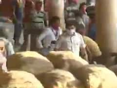 વાસણા APMC માર્કેટમાં સોશિયલ ડિસ્ટન્સિંગના નિયમો મુકાયા નેવે, જુઓ વીડિયો