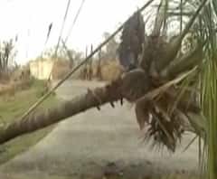  হেনরিজ আইল্যান্ড বেড়াতে গেছেন কখনও? দেখে নিন, এখন কী অবস্থা