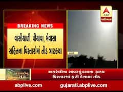 અમરેલીના સાવરકુંડલાના ગ્રામ્ય વિસ્તારમાં ફરી તીડ ત્રાટક્યા, જુઓ વીડિયો 