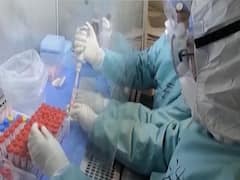 Vaccines to fight coronavirus are almost ready, claim Italy's scientists