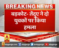 बड़कोट- तेंदुए ने दो युवकों पर किया हमला