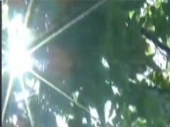 कल के लिए क्या है मौसम का पूर्वानुमान ? जानिए