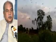 Lockdown से परेशान किसानों पर Tiddi dal की मार... 2-3 महीने तक रहेगी परेशानी : Narendra Singh Tomar