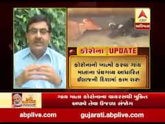 કોરોનાનો ખાત્મો કરવા ગાય માતાના પંચગવ્ય આધારિત ઈલાજની દિશામાં કામ શરૂ, જુઓ વીજિયો 