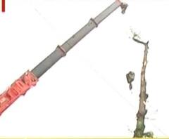 উমপুনের তাণ্ডবের ছদিন পর সল্টলেকের সিএ ব্লক থেকে ক্রেন দিয়ে সরানো হল বিপজ্জনকভাবে হেলে পড়া গাছ