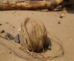 এক ঝলকে: বারুইপুরে লকেটকে বাধা, বীরভূমে বই কেনাকে কেন্দ্র করে বোমাবাজি, সঙ্গে ২৩ জেলার আরও খবর 