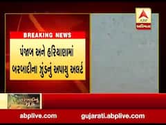 ગુજરાતના 11 જેટલા જિલ્લામાં જોવા મળ્યું હતું તીડનું આક્રમણ, જુઓ વીડિયો 