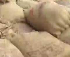 বাঘাযতীনে চালের দোকান থেকে উদ্ধার এফসিআইয়ের ২০ বস্তা চাল, আটক ১