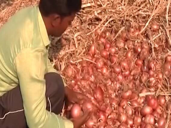 Nashik के प्याज किसानों पर कोरोना का संकट भारी