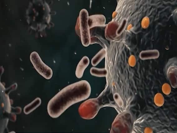 COVID 19:देश में मरीजों की संख्या में भारी बढ़ोत्तरी,24 घंटे में 195 लोगों की मौत । Special Bulletin