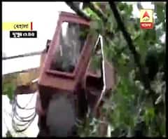 ঘূর্ণিঝড়ের তাণ্ডবে ফিডার বক্সে গাছ পড়ে বেহালার বুড়ো শিবতলা মেন রোডে বিপর্যয়, দীর্ঘক্ষণ বন্ধ থাকার পরে কাটা হল গাছ
