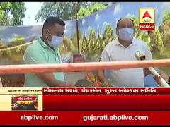 ભાઈનું મોત થયું છતાં સુરતની બાંધકામ સમિતિના ચેરમેને ચાલુ રાખ્યું સેવાનું કાર્ય, જુઓ વીડિયો