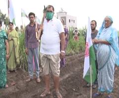 Shetkari Sanman Divas | राज्यभरातून शेतकऱ्यांचा सन्मान; शेतकऱ्यांसाठी राजू शेट्टी शेतात