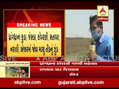 સુરેન્દ્રનગર, મોરબી અને ભાવનગરમાં તીડનું આક્રમણ, જુઓ વીડિયો 