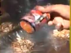 ગ્રીન ઝોનમાં આજથી પાન-મસાલાના ગલ્લા થશે કાર્યરત, જુઓ વીડિયો