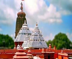 পুরীর রথ তৈরি ও রথযাত্রা নিয়ে রাজ্য প্রশাসনকে দ্রুত সিদ্ধান্ত গ্রহণের নির্দেশ ওড়িশার হাইকোর্টের