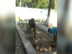 Mumbai: Mass graves being prepared for Covid-19 casualties | Master Stroke