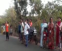 Rural News | मालवणमधील तोंडवळी गावात बिबट्याचं दर्शन | माझं गाव माझा जिल्हा