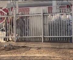 Gondia Water Theft | गोंदिया स्टेशनवरील पाण्याच्या बाटल्या पळवल्या, श्रमिक ट्रेनमधील प्रवाशांचे हाल