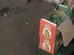 નરોડા ફ્રૂટ માર્કેટ પણ આજથી શરૂ, કેસર કેરીનો ભાવ 400 થી 800 રૂપિયા