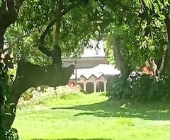 Wadhwan Brothers | वाधवान बंधूंना घेऊन सीबीआयचं पथक महाबळेश्वरमध्ये दाखल