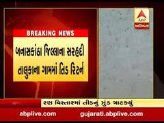 બનાસકાંઠાના સરહદી તાલુકામાં ફરી તીડ ત્રાટકતા ખેડૂતોની વધી મુશ્કેલી, જુઓ વીડિયો