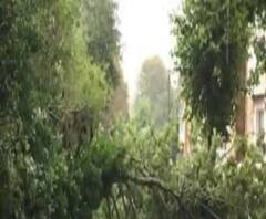 ফটাফট: ঘূর্ণিঝড় উমপুনের জেরে তছনছ কলকাতা, বিদ্যুৎস্পৃষ্ট হয়ে মৃত ২ 