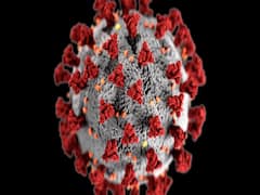 Number of Corona deaths in a day crosses 1000 mark in America