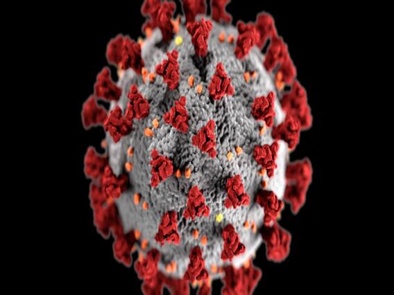 Number of Corona deaths in a day crosses 1000 mark in America