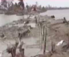 উমপুন: কুলতলিতে শুরু ঠাকুরান নদীর বাঁধ মেরামতির কাজ