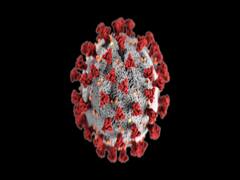 महाराष्ट्र में कोरोना से आज 105 लोगों की मौत हुई