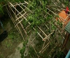 এক ঝলকে: উমপুনে সবথেকে ক্ষতিগ্রস্ত দক্ষিণ ২৪ পরগনা, প্রশাসনিক বৈঠকে কড়া বার্তা মুখ্যমন্ত্রীর