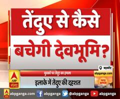 बड़कोट - युवकों पर तेंदुए का हमला,इलाके में तेंदुए की दहशत