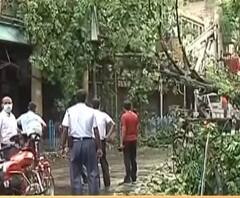 উমপুনের তাণ্ডবে লেনিন সরণিতে ভেঙে পড়েছে বহু গাছ, রাস্তা পরিষ্কার করছেন পুরসভার কর্মীরা