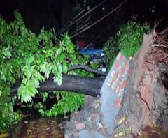 কলকাতার বিভিন্ন জায়গায় বন্ধ বিদ্যুৎ সংযোগ, উপড়ে গেছে খুঁটি, বিদ্যুৎ বন্ধ রেখেছে সিইএসসি