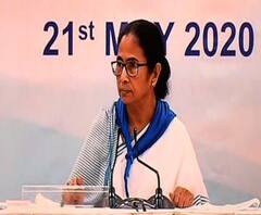 ম্যানগ্রোভে প্রচুর গাছ নষ্ট, প্রাকৃতিক দুর্যোগ থেকে বাঁচতে লাগাতে হবে অনেক চারা: মুখ্যমন্ত্রী 