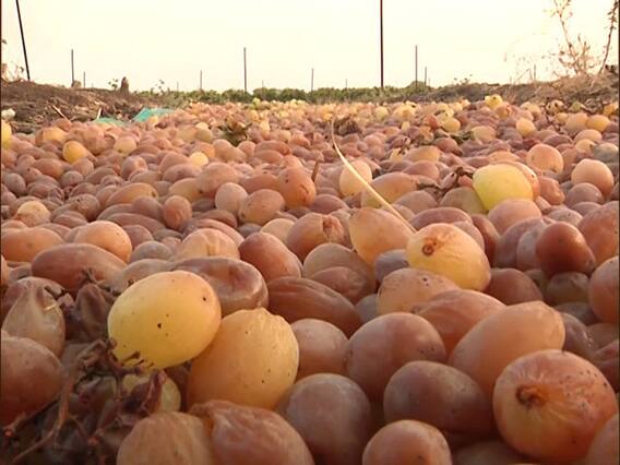 Lockdown में किस तरह से लाइफ लाइन बनी हाइवे की सड़कें, देखिए बड़ी पड़ताल