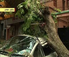 উমপুন: লেক অ্যাভিনিউয়ে টালিগঞ্জ থানার উদ্যোগে সরানো হচ্ছে গাড়ির উপর পড়া বিশাল বড় গাছ