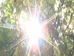 कोरोना संकट के बीच जारी है देशभर में गर्मी का कहर 