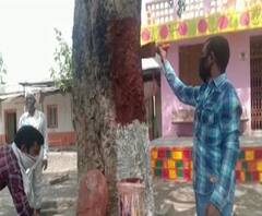 Rural News | हिंगोलीत विलगीकरणातल्या नागरिकांकडून शाळेची स्वच्छता, वेळेचा सदुपयोग | माझं गाव माझा जिल्हा