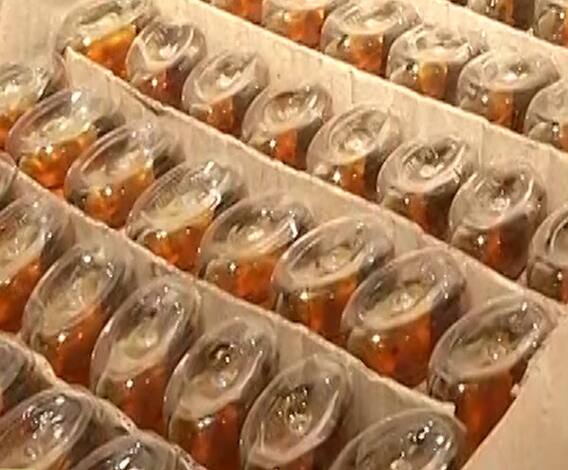 Lockdown | दारू तस्करीसाठी भन्नाट आयडीया! मध्यप्रेदशातून छुप्या पद्धीतनं महाराष्ट्रात दारुची तस्करी