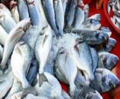 লকডাউনে জামাই ষষ্ঠী, বাঙালি কি মাছ কিনছে? বাজার ঘুরে দেখল এবিপি আনন্দ