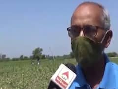 સુરત: ઓલપાડના ખેડૂતો તરબૂચ અને ટેટી નીચા ભાવે વેચવા મજબૂર, જુઓ વીડિયો